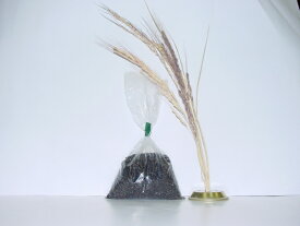 古代米（黒米）　100g 【酵素玄米用】【寝かせ玄米用】