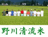 令和7年産　減農薬特別栽培米山形県産はえぬき玄米25kg【30kg商品からかわりました】【北海道〜近畿地方…
