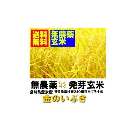 【無農薬　無洗米タイプ　らくらく発芽玄米】　令和5年産　宮城県産金のいぶき　2kgx12袋　【無洗米の玄米】【北海道〜近畿地方のみ送料無料】【中国・四国・九州・沖縄地方は追加運賃】