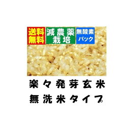 楽天市場 発芽玄米 無洗米の通販