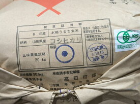 【無農薬玄米】　令和7年産　山形コシヒカリ玄米5kg【北海道〜近畿地方のみ送料無料】【中国・四国・九州・沖縄地方は追加運賃】