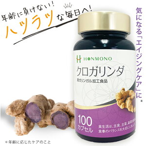 yX[p[Z[ 3×3+g̉v[gzNK_ 100JvZ KK ݕ Tv  \ AgVAjA|tFm[ANN~AZjEAAMj 