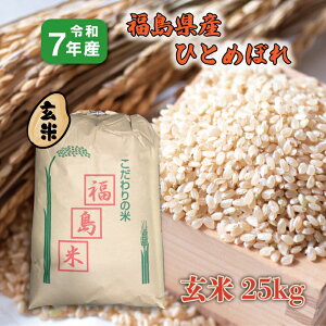 玄米 25kg」の人気商品一覧 | 安い商品を通販サイトから探す - 価格.com