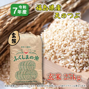 �y���āz7�N�Y �������Y�V�̂� 25kg 25�L�� �V�̗� ���� 1���� �u�����h�� ���� ��������