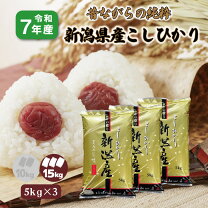 楽天市場】コシヒカリ15kgの通販