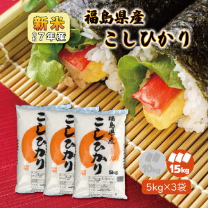 y5kg×3zV7NY Y Ђ 15kg   1  RVqJ 15L  e   x p