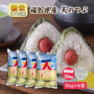 y5kg×4zV7NY YV̂ 20kg e   20L i   1   V̗  x