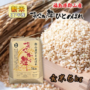 y5kg×1z V7NY SRY ЂƂ߂ڂ 5kg   1 5L  uh p