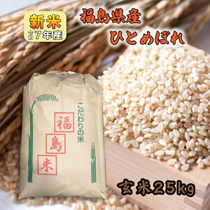 yāzV7NY YЂƂ߂ڂ 25kg 1  25L 