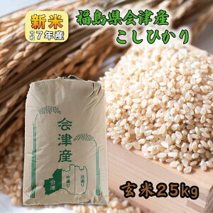 yāzV7NY ÎYЂ 25kg 1  RVqJ 25L