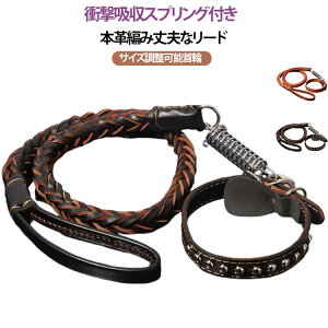 犬リード 革 の人気商品一覧・価格比較 - 価格 com
