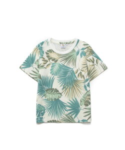 yz Z[ 40%OFF A[mhp[}[ A\[g OtBbNTVc LbY zCg ubN O[ Vv JWA t  ʉ ʊw ct w ̎q j̎q  fC