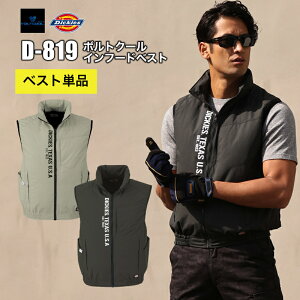 [X[p[SALEGg[ōőP10{N[|]yiz{gN[Ct[hobN`^xXg@D-819@Dickies 󒲕_ 󒲃xXg xXĝ݁it@Aobe[ʔj