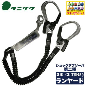 受け皿 効果 いわゆる 安全 帯 二丁掛 法律 Bwml Jp