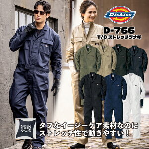 Dickies D-766 T/CXgb`ciM [N JWAEFA Lv Y fB[X Ȃ ƒ 傫TCY fBbL[Y ₷@ƕ@ƒ@lCr[ ubN A[~[ 