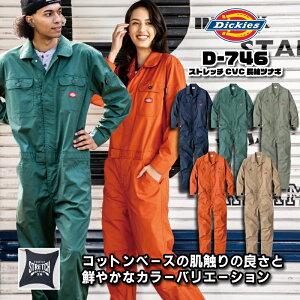Dickies@D-746@Xgb`CVC@ciM@fBbL[Y@tā@ {Ki @ciM@ ƕ Y fB[X AEghA@ DIY@K[fjO _   JWA@