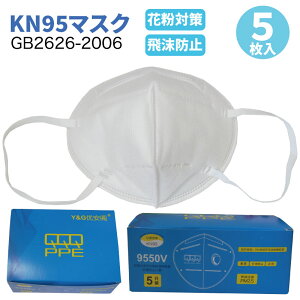 [9̓Gg[P10{&]KN95 }XN 5  3Ď^ sDz@ho PM2.5 ԕ΍