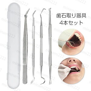 br48# 4{Zbg Ύ  f^c[ p XeX  j C L\h Ύ XP[[ Ύ P[Xt