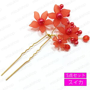 h173#Us p[ 5_Zbg  񂴂  t[ zCg  wAANZT[  wAs a Vo[    l