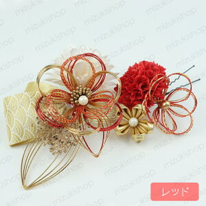 h191# 2_Zbg  3color wAANZT[  R[ Us l U a ܂ݍ׍H ߂  l fB[X  Ǝ 