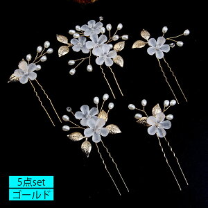  5_Zbg (h88#)  2color wAs  l Us  a U wAANZT[ Ǝ  U 񂴂   wbhhX