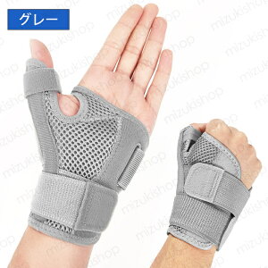 z11# T|[^[  wT|[^[ F≊T|[^[ ֐  Œ F≊ P Ǝ 玙 ɂ X|[c ؃g ی ֐ jp