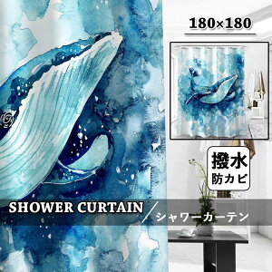 V[J[e Ȃ hJr oXJ[e CJ[e  J[e oX[ Vv 킢  H ډBp   NW ی tȒP  tbNt 