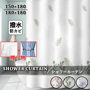 V[J[e hJr  tbN oXJ[e k 킢  C J[e Ȃ Vv qǂ H Ց  jbgoX  V[J[e tȒP u