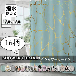 V[J[e k Ȃ p 􉽕 hJr oXJ[e Ԏd؂ tbNt CJ[e  J[e oX[ oXpi Vv  Ց  ʏ jb