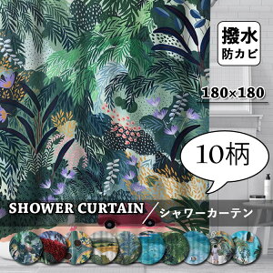 V[J[e Ȃ _炩 A hJr J[e oXJ[e Ԏd؂ tbNt c CJ[e  J[e oX[ oXpi Vv Ց 