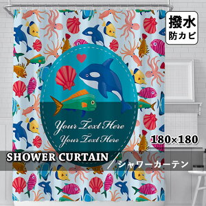 V[J[e Ȃ hJr oXJ[e CJ[e  J[e oX[ oXpi GKg Vv 킢 qǂ  Ց  ʏ jbgoX  