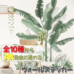 EH[XebJ[  ǎV[ t t R ϗtA 3Zbg ǎ ˂ L lR   A Aؔ V̗t [t 傫 V[ k 킢 ͋C y ȒP  O[ 