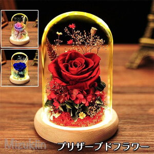 プリザーブドフラワー プレゼント 母の日 誕生日 お花 ギフト フラワー バラ 枯れない花 おしゃれ プリザーブドフラワー ガラスドーム LEDライト付