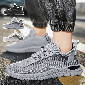 Xj[J[ Y jOV[Y fB[X y ʋC X|[cV[Y EH[LO  V[Y jp