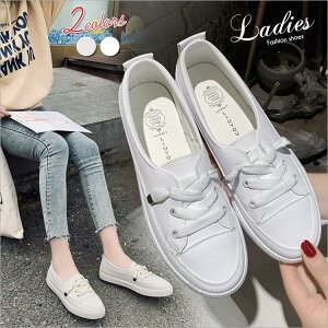 RtH[gV[Y V[Y Xj[J[ fB[X ^C X|[c JWAV[Y ₷ C fB[XC JWA  