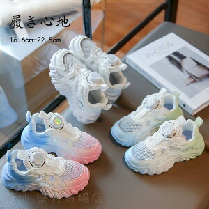 Xj[J[ ̎q qC j̎q qp tďH ^C ʋC ~ JWAV[Y WjA jZbNX jOV[Y  ^ ʊw