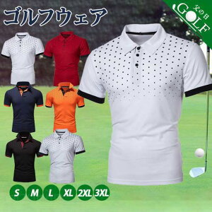 StEFA |Vc Y TVc  rWlX v[g ̓ _炩 JWA StVc POLO  