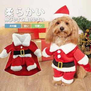 ���p �� ���̕� ���� �t �� �H �~ ���킢�� ������� �����₷�� �� �h�b�O�E�F�A �g�C�v�[�h�� ���� �^�� ���� ���[��