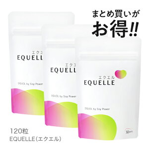 エクエル パウチ【即日〜2営業日出荷】大塚製薬 120粒×3袋 エクオール EQUELLE【メール便】【オススメ】