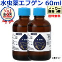 【第2類医薬品】送料無料 水虫薬 エフゲン 60ml×2本セット女性 水虫 いんきん 治療 薬 白癬菌 いんきんたむし 医薬品 爪水虫 インキン 角質ケア 足指 足 角質 医薬品 レディース 送料込み ランキングお取り寄せ