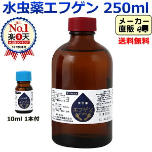 【全国送料無料】【第2類医薬品】水虫薬 エフゲン250ml 1本 に 10ml 1本付 水虫 医薬品 白癬菌 爪水虫 いんきんたむし いんきん インキン 治療 薬 角質ケア 足 角質 足指 女性 レディース