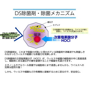 DS除菌剤10包入り次亜塩素酸水