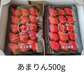 水野農園 埼玉県産 あまりん いちご500g 家庭用