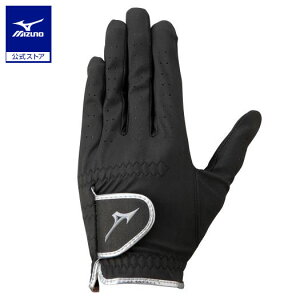 ~Ym ~Ym\E / St Y ubN