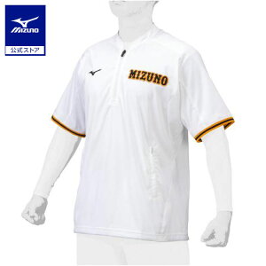 ~Ym y~Ymvzg[jOWPbg  jZbNX zCg