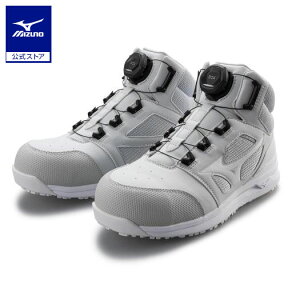 ~Ym I[}CeBLS II 73M BOA [LO Y O[×zCg