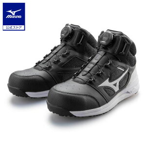 ~Ym I[}CeBLS II 73M BOA [LO Y ubN×zCg