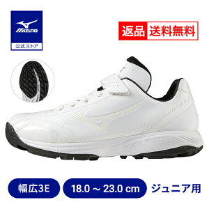 ԕi 싅 g[jOV[Y AbvV[Y WjA N싅 ~Ym Cg{g[i[Jr. WjA zCg  3E Ch 11GT2222