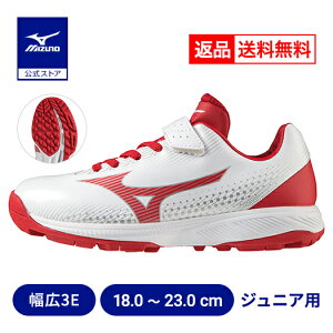 ԕi 싅 g[jOV[Y AbvV[Y WjA N싅 ~Ym Cg{g[i[Jr.CR zCg×bh 3E Ch 11GT2223