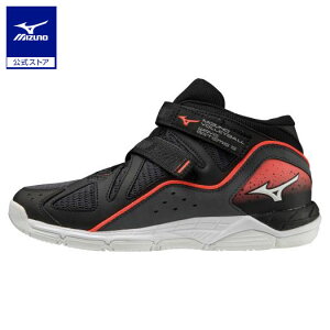 ~Ym EG[uAe~X5 WIDE o[{[ jZbNX ubN×zCg×sN o[{[V[Y